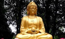 正月十五后还能化解太岁了吗(犯太岁过了生日后运气会好吗)