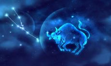 金牛座的性格脾气缺点(金牛座的男人是什么性格)