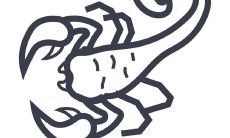 射手座女老板(射手座老板最搭的下属)