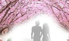 什么叫阴桃花运(什么叫桃花运)