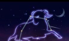 白羊座女对性的态度(属猴的白羊座女人对性的态度)