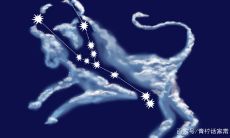 摩羯女和什么座最适合处对象(摩羯座的对象是什么星座的)