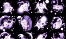 与金牛座配对的星座(一月是什么星座)