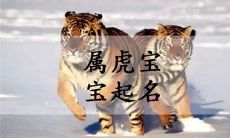 2023女孩子起名字星系有关(女孩起名字大全免费)