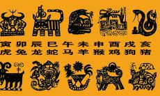 牛年完了是虎年吗(今年是牛年还是虎年)