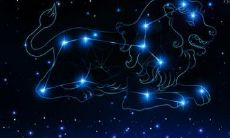 狮子座的男孩子面对喜欢的女生(狮子座对喜欢的女生会怎么样)