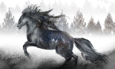 属鼠和属马的婚姻怎么样(84年属鼠38岁有一灾)