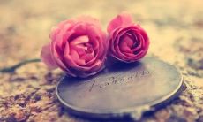 属鼠男跟蛇女相配吗(属鼠男会真爱属蛇女吗)