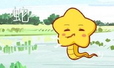 属蛇人最近运气怎么样(属蛇的人鼠年运势)