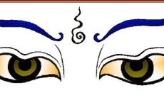 属鸡的人能纹般若吗(1993年属鸡的人纹什么比较好)