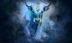 下降星座金牛的优缺点(金牛座的缺点和弱点)