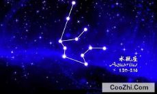 处女座的运势2023年的运势(星座运势2023)