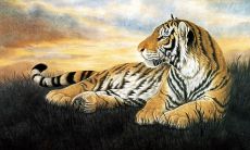 66年马男人婚配(1990属马一生会有几段婚姻)