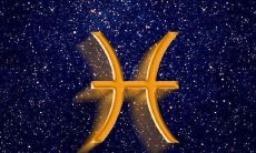 双鱼座标志意义(双鱼座的意义是什么)