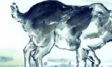 属羊的佩戴什么饰件合适(属羊的人戴什么配饰比较好)