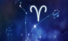 白羊男真的爱一个人的表现(白羊男真爱和想睡你的表现)