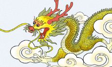 属龙和属鸡性格(属龙女的性格和脾气)