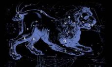 狮子座的特点是什么星座(十二星座狮子座女)