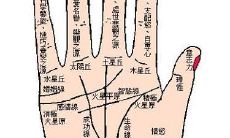 手相金星线什么意思(手相看婚姻线准吗)