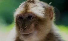 1992年属猴女的财运(92猴女在2023终于转运了)