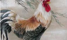 属鸡有哪些年出生(生肖鸡的年份有哪几年)