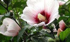 天蝎座喜欢说谎话吗(天蝎座说谎代表什么)