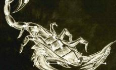 天蝎座什么血型(天蝎座是什么血型女生)