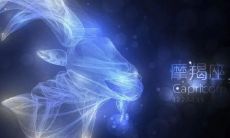 摩羯座的放弃(摩羯座一旦放弃一个人)