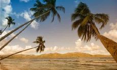 摩羯座床上功夫(摩羯座喜欢一个人的表现)