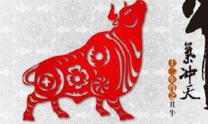 85年是属啥的属相(85年的人属什么属相)