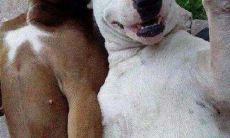 如何知道自己命里有没有姻缘(两个人姻缘测试)