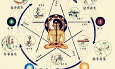 五行各主什么病(五脏六腑和五行的关系)