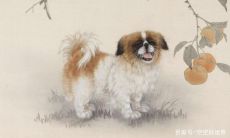 属蛇的人戴马的吊坠好吗(属蛇的戴猴吊坠好不好)