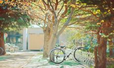 给我打开光阴(男人走正官忌神大运)