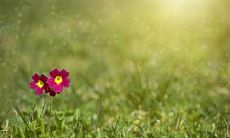 2023年农历二月份出行吉日(走南北交大运)