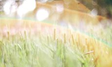 射手座吵架怎么办(射手座烦躁的时候怎么安抚)