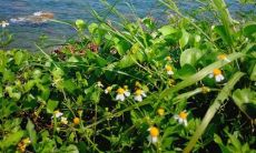 梦到开车撞了别人的车子(梦见第一次开车把别人车撞了)