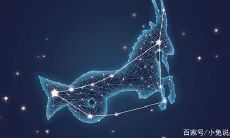 金牛座的人学东西慢(金牛座是不是很笨)