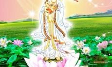 出道仙财运什么时候才能好(男属羊女猴的婚姻状况)