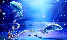 属虎的双鱼座男今日运势(双鱼座男今天的财运)