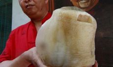 太岁在哪里能买到(泡了三年的太岁水能喝吗)