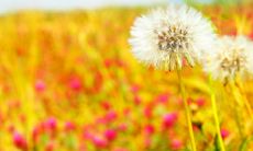 换大运没变化(大运由差转好运的感受)