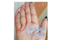 小拇指手相有什么说法(手相感情线图解)