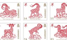 今年属羊是哪一年的(属羊的人都是哪一年的)