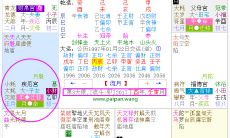 紫微斗数看流月桃花(紫微斗数配对)