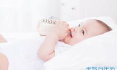 属羊什么名字好呢(属羊公司名字带什么好)