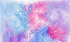 狮子座星座狗(能毁掉狮子座的星座)