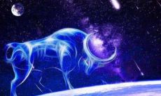 金牛座男男生性格(典型金牛座男生性格)