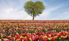 对金牛男忽冷忽热有用吗(怎么对付金牛男的冷淡)