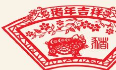 95年属猪男命运怎么样(95年属猪的姻缘在哪年)